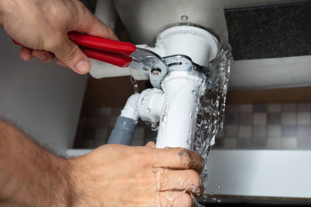 Best Professional water damage repair  in Meridianville, AL