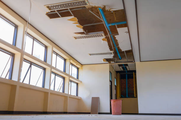 Water damage restoration mold remediation in Meridianville, AL