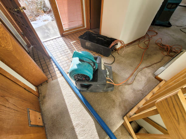 Best 24/7 water damage repair  in Meridianville, AL