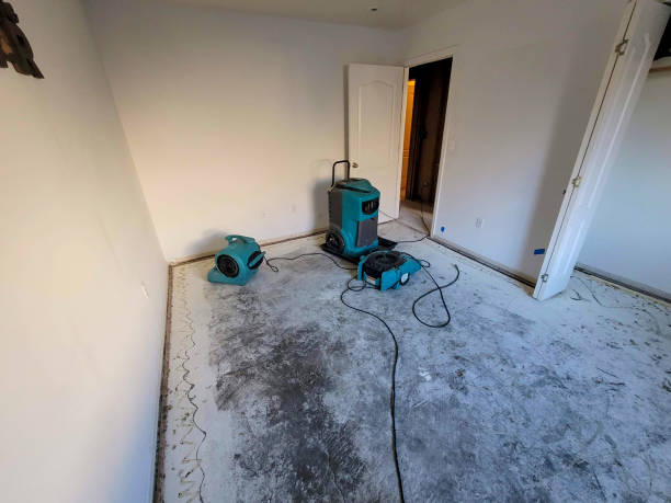 Trusted Meridianville, AL Water damage restoration Experts