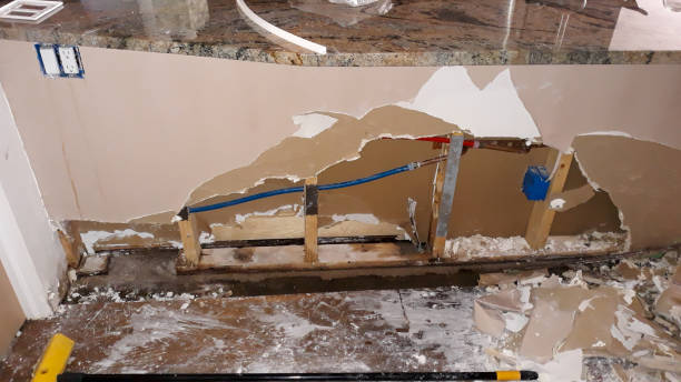 Best Water damage restoration services  in Meridianville, AL