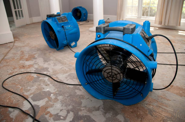 Local water damage restoration in Meridianville, AL