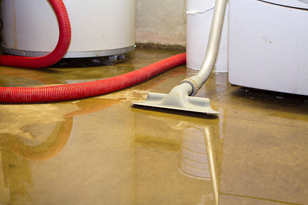 Best Basement water damage restoration  in Meridianville, AL