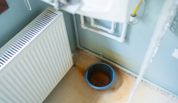 Best Water damage cleanup near me  in Meridianville, AL