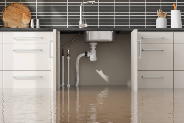 Best Water damage cleanup near me  in Meridianville, AL