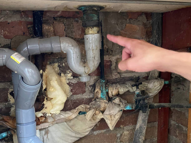 Best Fire Damage Restoration  in Meridianville, AL