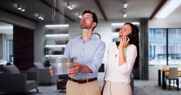 Best 24/7 water damage repair  in Meridianville, AL