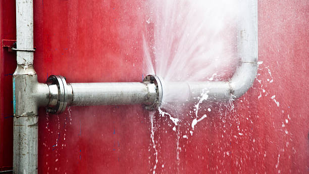 Best Flooded house restoration  in Meridianville, AL